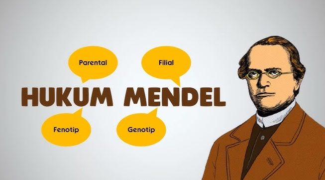 Hukum Mendel
