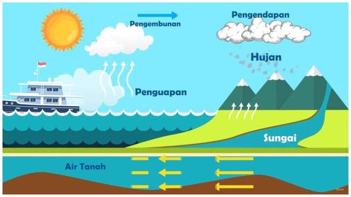 Siklus Air dan Peran Pentingnya dalam Menjaga Keseimbangan Ekosistem