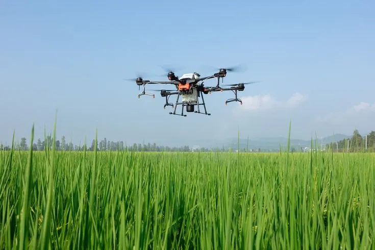 Drone Cerdas