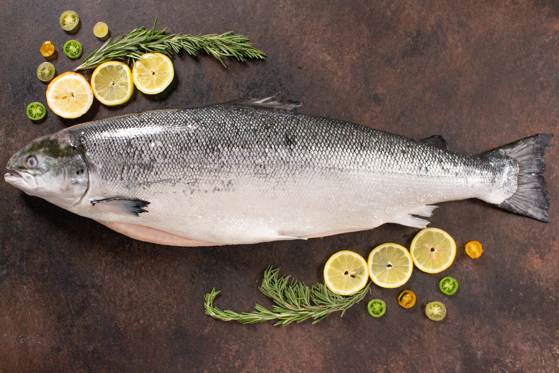 Salmon Knowledge