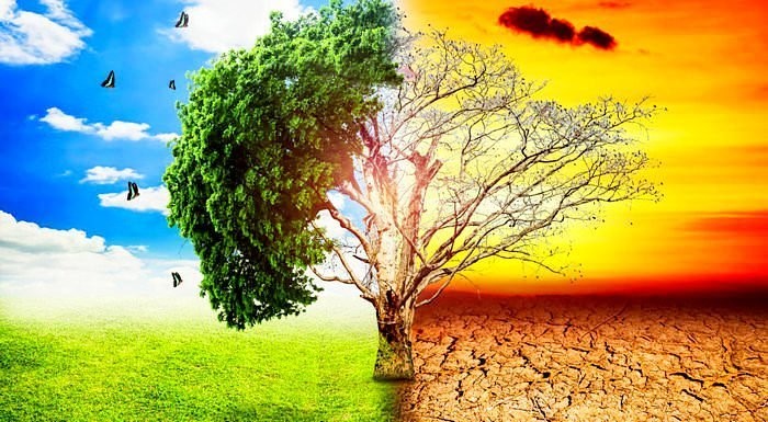 Pemanasan Global PBB: Tantangan dan Solusi untuk Masa Depan Planet