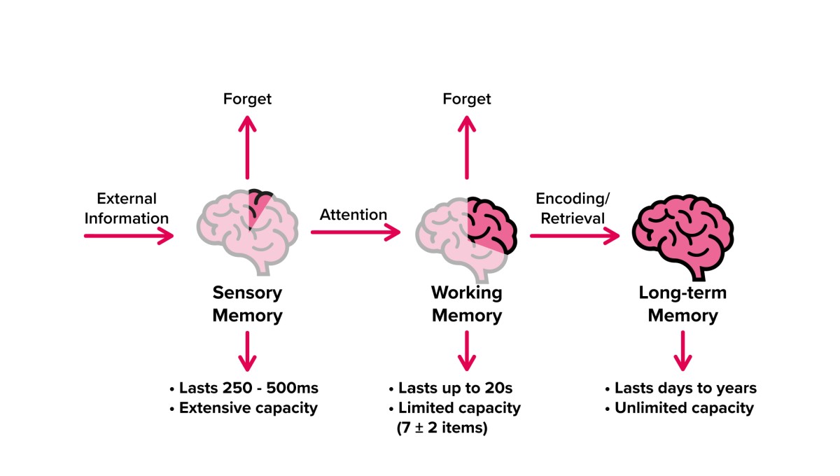 cognitive load