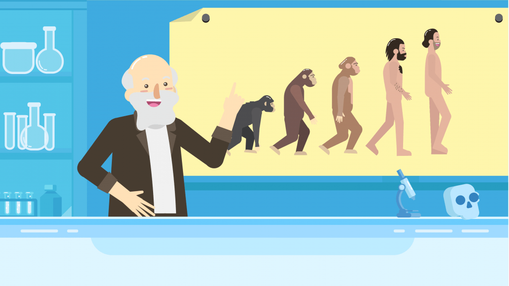 Teori Evolusi