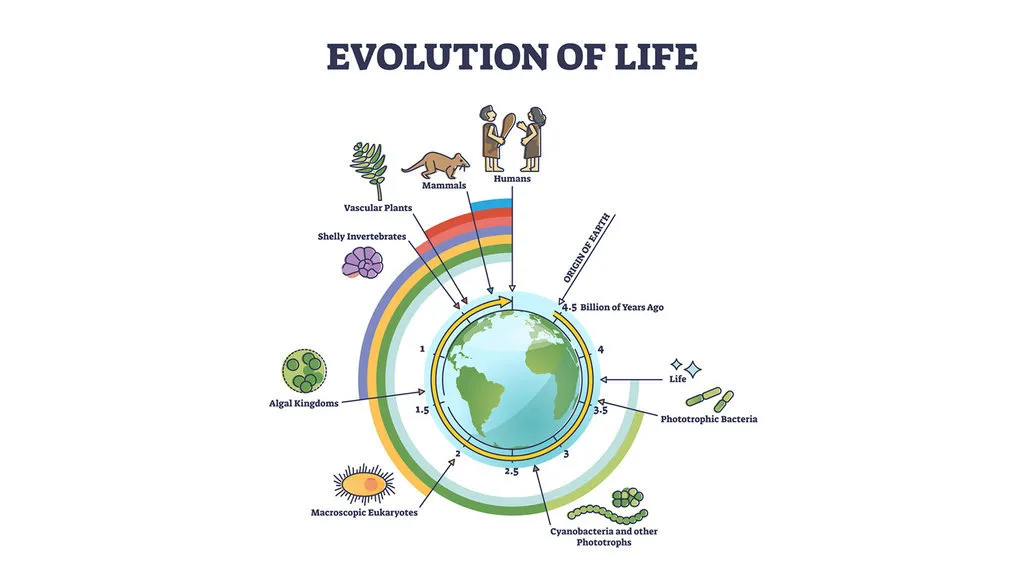Teori Evolusi