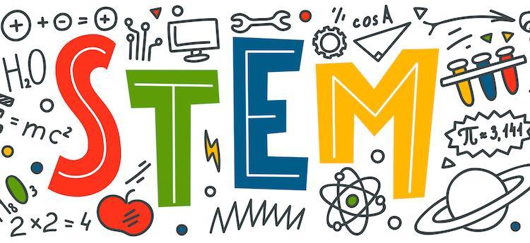 edukasi Stem