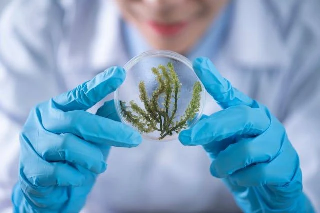 Biologi Sel Molekuler
