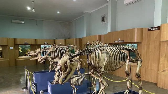 Zoologi Dasar Mahasiswa