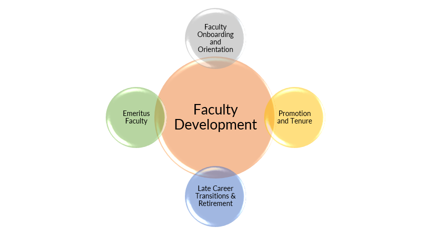 Faculty Development