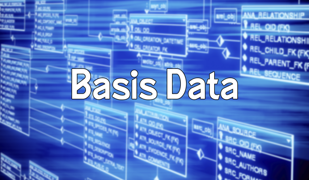 Basis Data