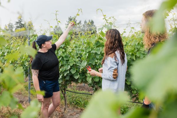 Viticulture Expertise